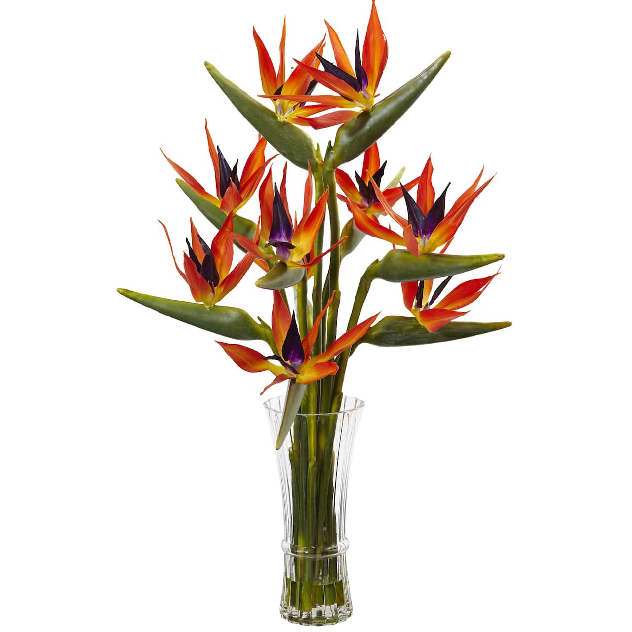 2.5ft. Bird of Paradise Flowers in Glass Cylinder Vase